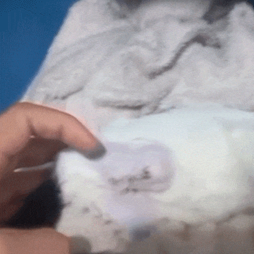 Filhote de gato &eacute; encontrado dentro de caixa com as patas arrancadas
