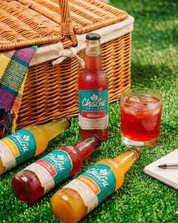 TáON: Chagu Kombucha vira destaque no mercado local TáON: Chagu Kombucha vira destaque no mercado local