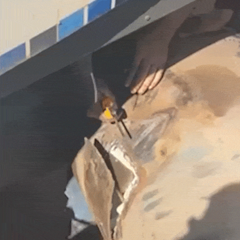 Apreens&atilde;o de 205 kg de coca&iacute;na resulta em 58 anos de pris&atilde;o para traficantes