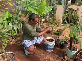 Floricultura na cal&ccedil;ada nasceu de uma dor e hoje colore vida de Elivan