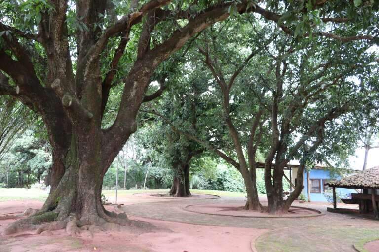 Campo Grande News