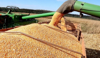 Depend&ecirc;ncia da China e tens&atilde;o em Taiwan colocam agro de MS em alerta