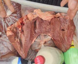 Força-tarefa apreende mais de 660 kg de carne estragada em açougue Força-tarefa apreende mais de 660 kg de carne estragada em açougue
