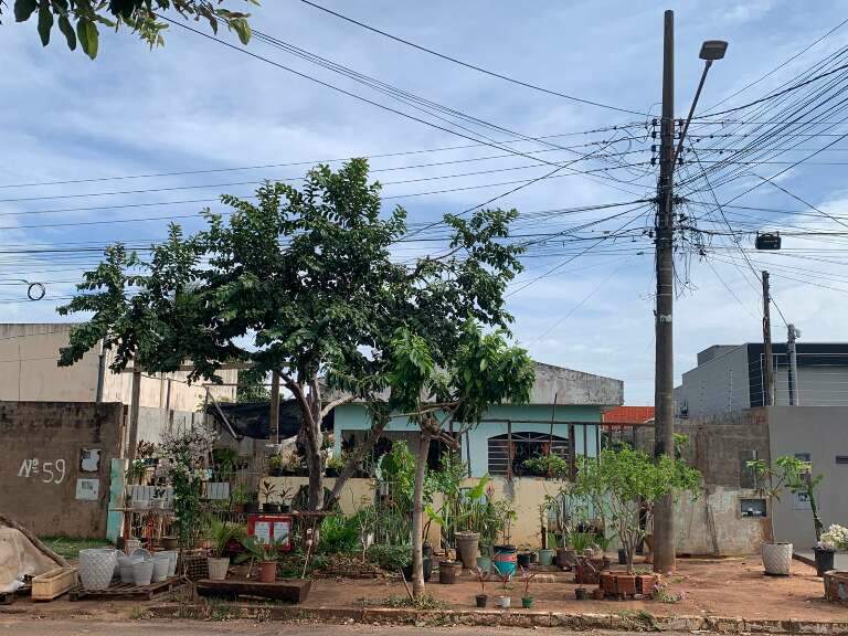 Campo Grande News