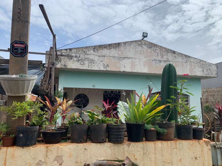 Campo Grande News