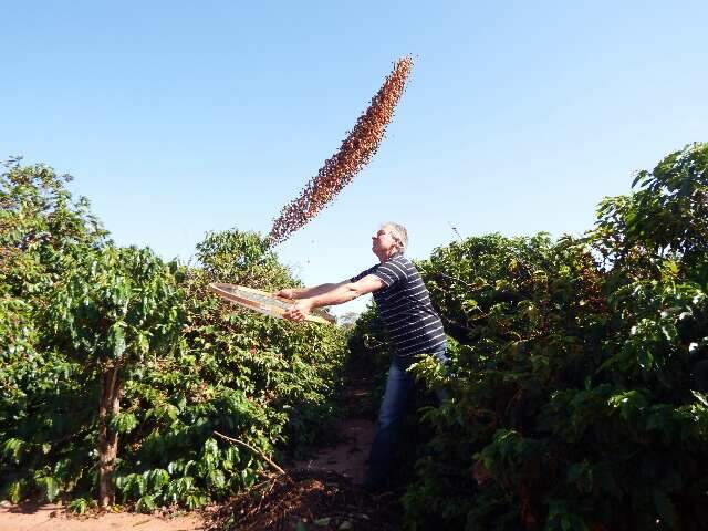 Uni&atilde;o injeta R$ 7,3 bilh&otilde;es no caf&eacute; e agricultura familiar pode se beneficiar