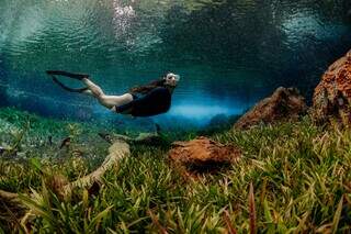 Cenários de Bonito e Bodoquena aparecem entre as melhores fotos do mundo Cenários de Bonito e Bodoquena aparecem entre as melhores fotos do mundo