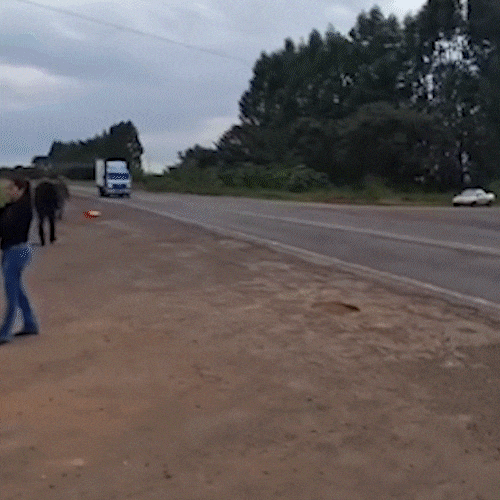 Moradores protestam por seguran&ccedil;a em avenida de &aacute;rea rural de Campo Grande