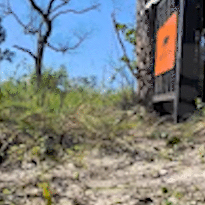 &ldquo;Nova na vizinhan&ccedil;a&rdquo;, on&ccedil;a Corumbela preocupa moradores da Serra do Amolar