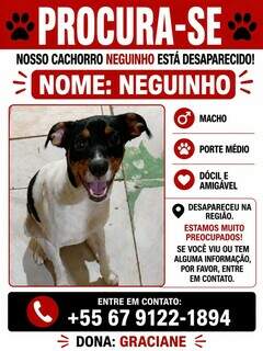 Neguinho desaparece e família pede ajuda para encontrar cachorro Neguinho desaparece e família pede ajuda para encontrar cachorro