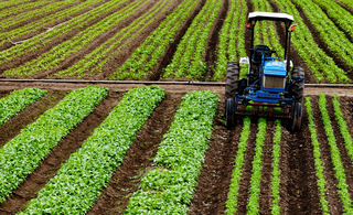 Crédito rural em MS cai 39% em abril e produtores priorizam custeio das lavouras Crédito rural em MS cai 39% em abril e produtores priorizam custeio das lavouras