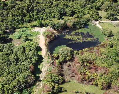 Projeto prev&ecirc; cria&ccedil;&atilde;o de Parque Zoobot&acirc;nico em antiga &aacute;rea de conserva&ccedil;&atilde;o