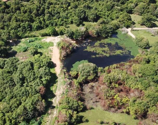 Projeto prev&ecirc; cria&ccedil;&atilde;o de Parque Zoobot&acirc;nico em antiga &aacute;rea de conserva&ccedil;&atilde;o