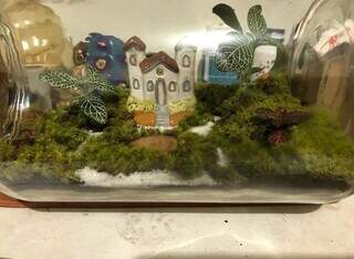 Ana cria mini Pantanal em terrários decorados com onça, arara e tuiuiú Ana cria mini Pantanal em terrários decorados com onça, arara e tuiuiú
