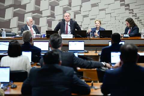 Com press&atilde;o da bancada de MS, Senado avan&ccedil;a em renegocia&ccedil;&atilde;o de d&iacute;vidas rurais