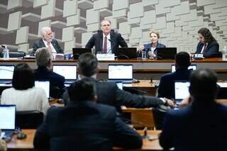 Com press&atilde;o da bancada de MS, Senado avan&ccedil;a em renegocia&ccedil;&atilde;o de d&iacute;vidas rurais