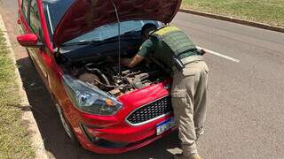 Ruas da Capital entram em sistema que rastreia carros roubados e clones Ruas da Capital entram em sistema que rastreia carros roubados e clones
