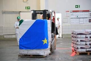 Exporta&ccedil;&otilde;es de carne de MS para a China aumentam 57,45% antes de nova tarifa