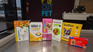 Dia Out no Outpet neste s&aacute;bado: toda loja com 15% e frete gr&aacute;tis