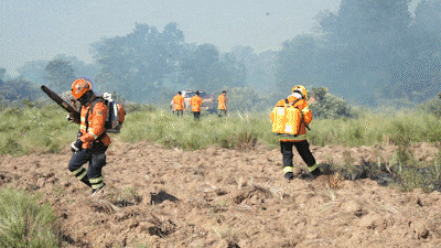 Saberes ind&iacute;genas ganham espa&ccedil;o na preven&ccedil;&atilde;o de inc&ecirc;ndios no Pantanal