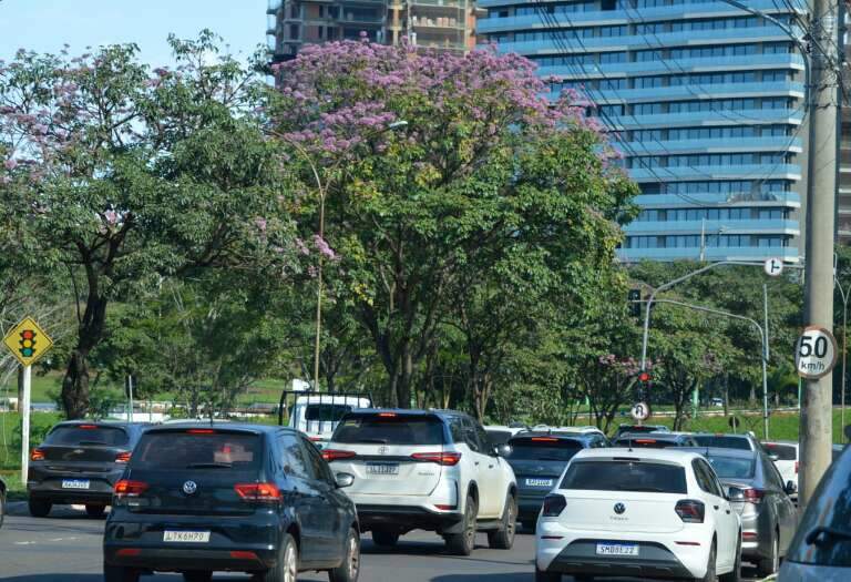 Campo Grande News