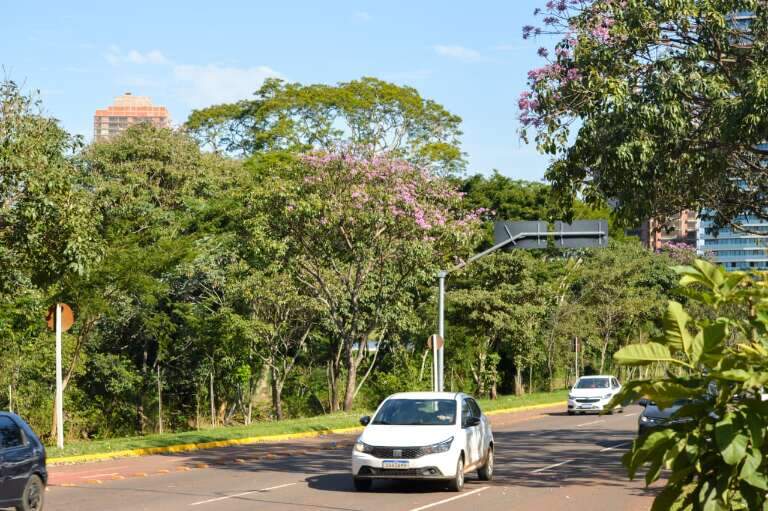 Campo Grande News