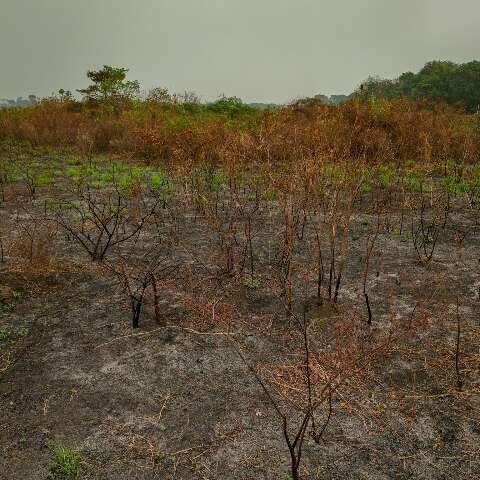 Governo prepara decreto para enfrentar riscos de super El Ni&ntilde;o em MS