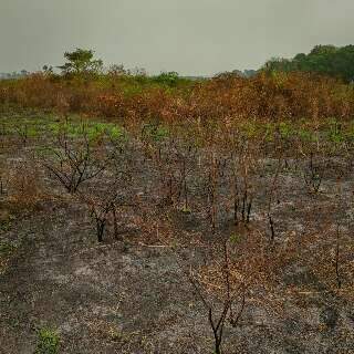 Governo prepara decreto para enfrentar riscos de super El Ni&ntilde;o em MS