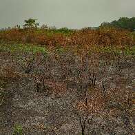 Governo prepara decreto para enfrentar riscos de super El Ni&ntilde;o em MS