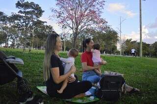 Frio de maio faz ip&ecirc;s florescerem mais cedo e d&aacute; novo tom &agrave; paisagem urbana