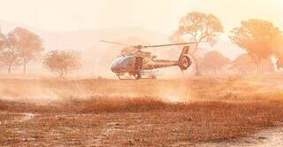 Ibama amplia ações no Pantanal diante de risco do El Niño Ibama amplia ações no Pantanal diante de risco do El Niño