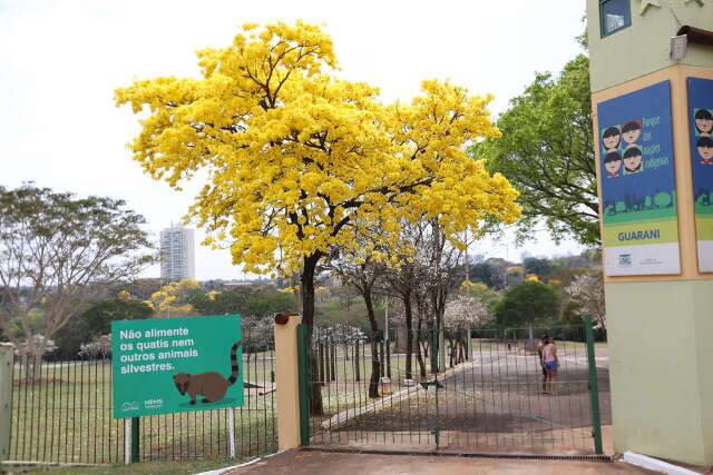 Parque das Na&ccedil;&otilde;es ter&aacute; vacina&ccedil;&atilde;o contra a gripe neste s&aacute;bado