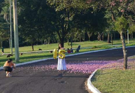 Frio de maio faz ip&ecirc;s florescerem mais cedo e d&aacute; novo tom &agrave; paisagem urbana