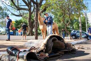 Da garotada ao octogenário, cavalgada faz pulsar “coração sertanejo” da cidade Da garotada ao octogenário, cavalgada faz pulsar “coração sertanejo” da cidade