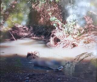 Homem encontra corpo com marcas de tiro em córrego durante pescaria Homem encontra corpo com marcas de tiro em córrego durante pescaria