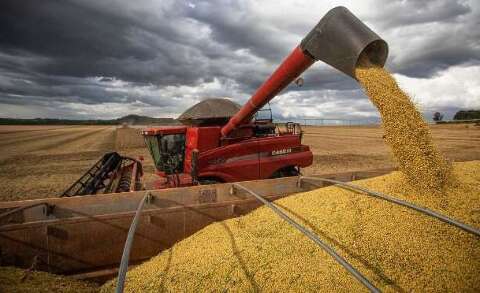 D&iacute;vida vencida cresce no campo e agro fecha 2025 com inadimpl&ecirc;ncia de 8,2%