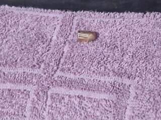 Horas após criança ferida, trabalhador acorda baleado no rosto dentro de casa Horas após criança ferida, trabalhador acorda baleado no rosto dentro de casa