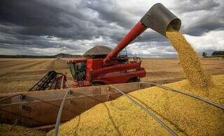 Dívida vencida cresce no campo e agro fecha 2025 com inadimplência de 8,2% Dívida vencida cresce no campo e agro fecha 2025 com inadimplência de 8,2%