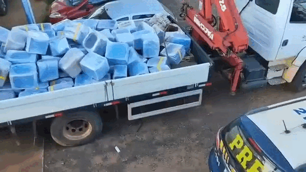 PRF apreende 4,7 toneladas de maconha escondidas em carga de girassol