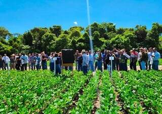 Com fundo de R$ 150 milh&otilde;es, MS cria polo de inova&ccedil;&atilde;o para o agro