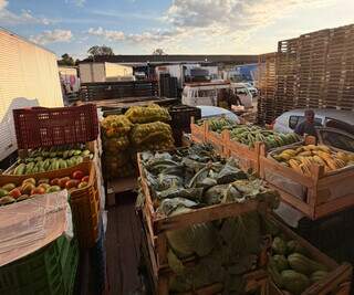 Ceasa movimenta R$1 bilh&atilde;o e comercializa 231 mil toneladas de alimentos em 2025
