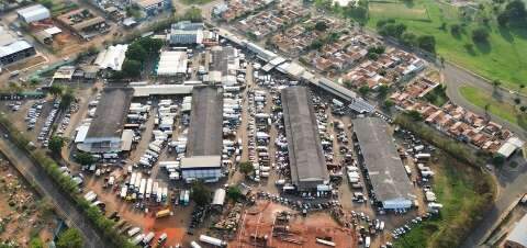 Ceasa movimenta R$1 bilh&atilde;o e comercializa 231 mil toneladas de alimentos em 2025