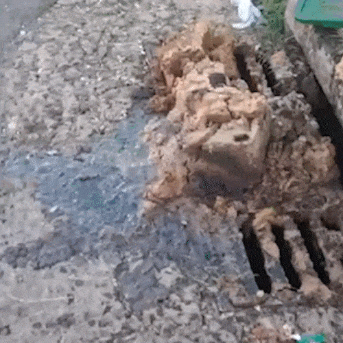 &Oacute;leo &eacute; descartado em bueiro e moradora denuncia crime ambiental