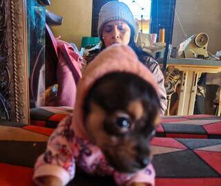 Gleucineide faz roupinhas de croch&ecirc; para aquecer c&atilde;es abandonados 