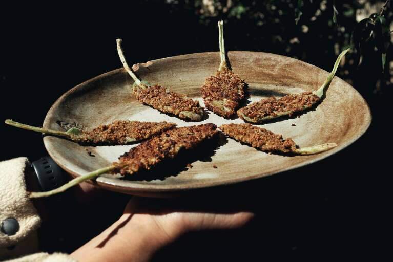 Planta com gosto de sardinha? Aprenda a fazer peixinho de aperitivo