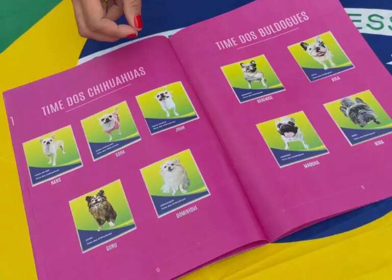 De Moela a Tom Cruise, álbum da Copa transforma cães em figurinhas