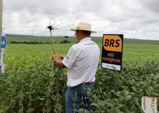 Reforma pode reduzir em 71% carga tributária de produtores de soja e milho de MS Reforma pode reduzir em 71% carga tributária de produtores de soja e milho de MS
