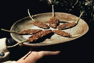 Planta com gosto de sardinha? Aprenda a fazer peixinho de aperitivo