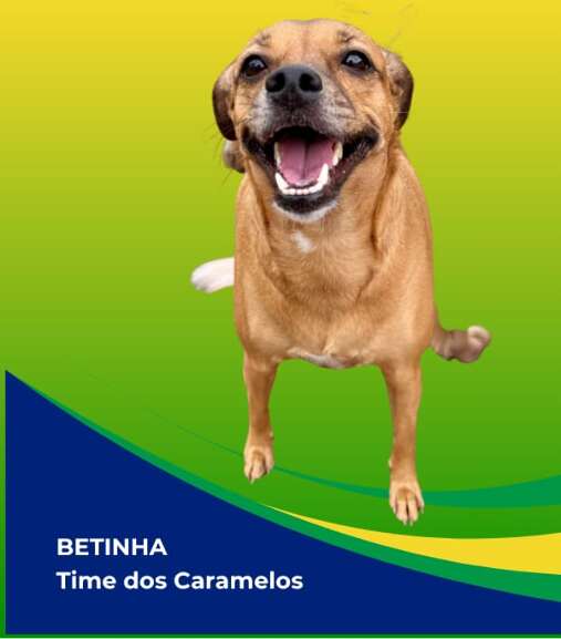 Campo Grande News