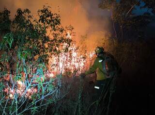 Temendo super El Ni&ntilde;o, governo decreta estado de emerg&ecirc;ncia ambiental